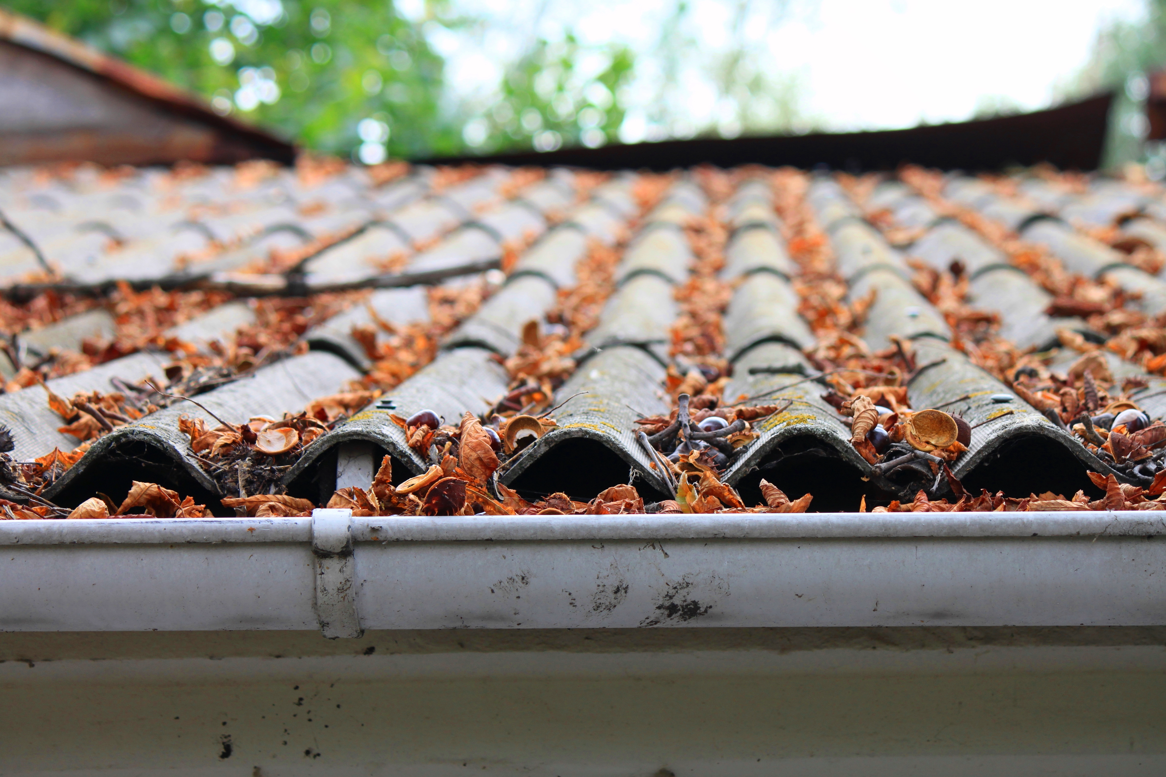 Roofline Services Image