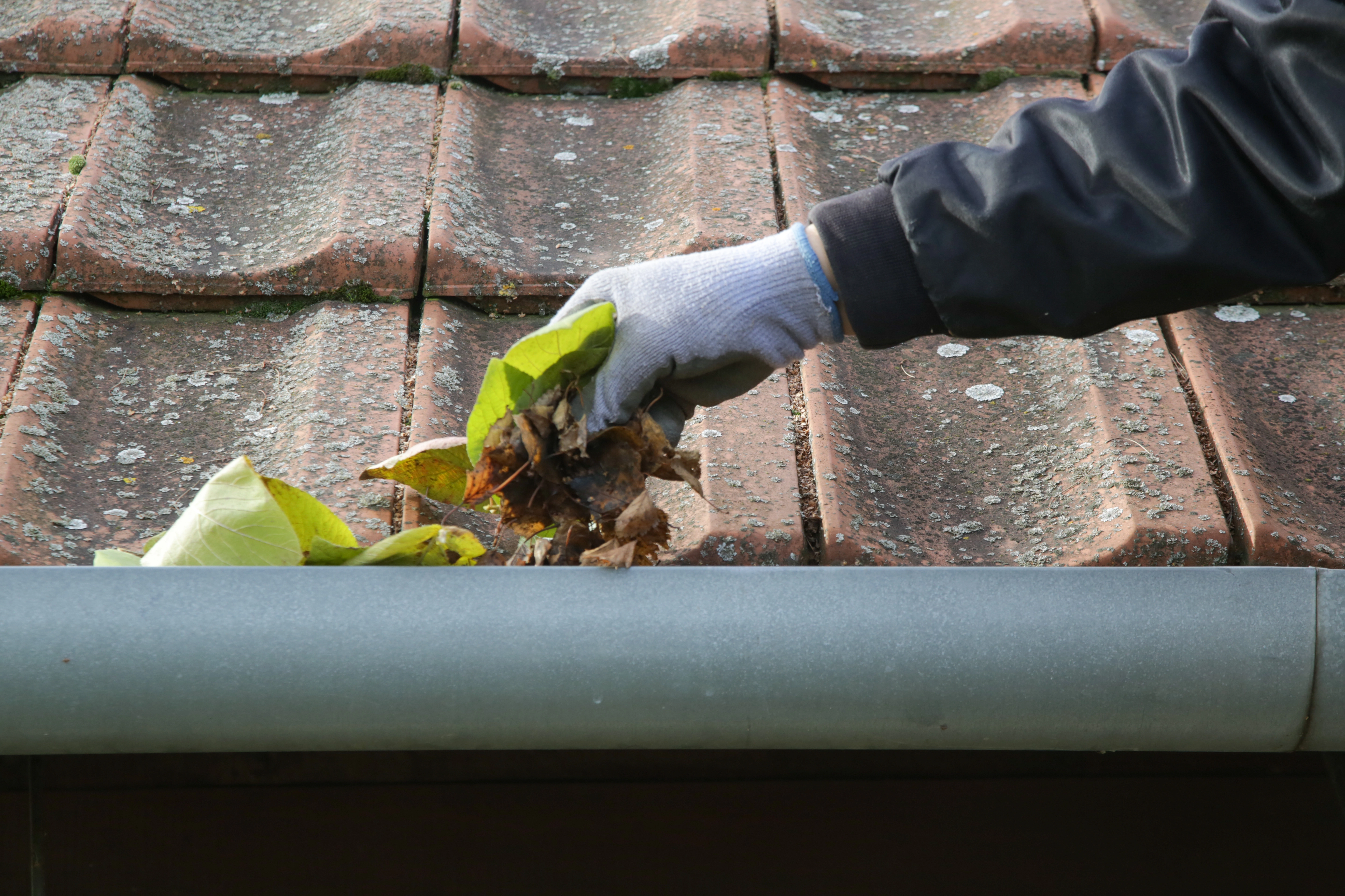 Roof Repairs Image