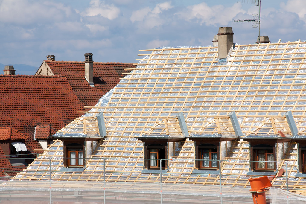 Roof Repairs Image