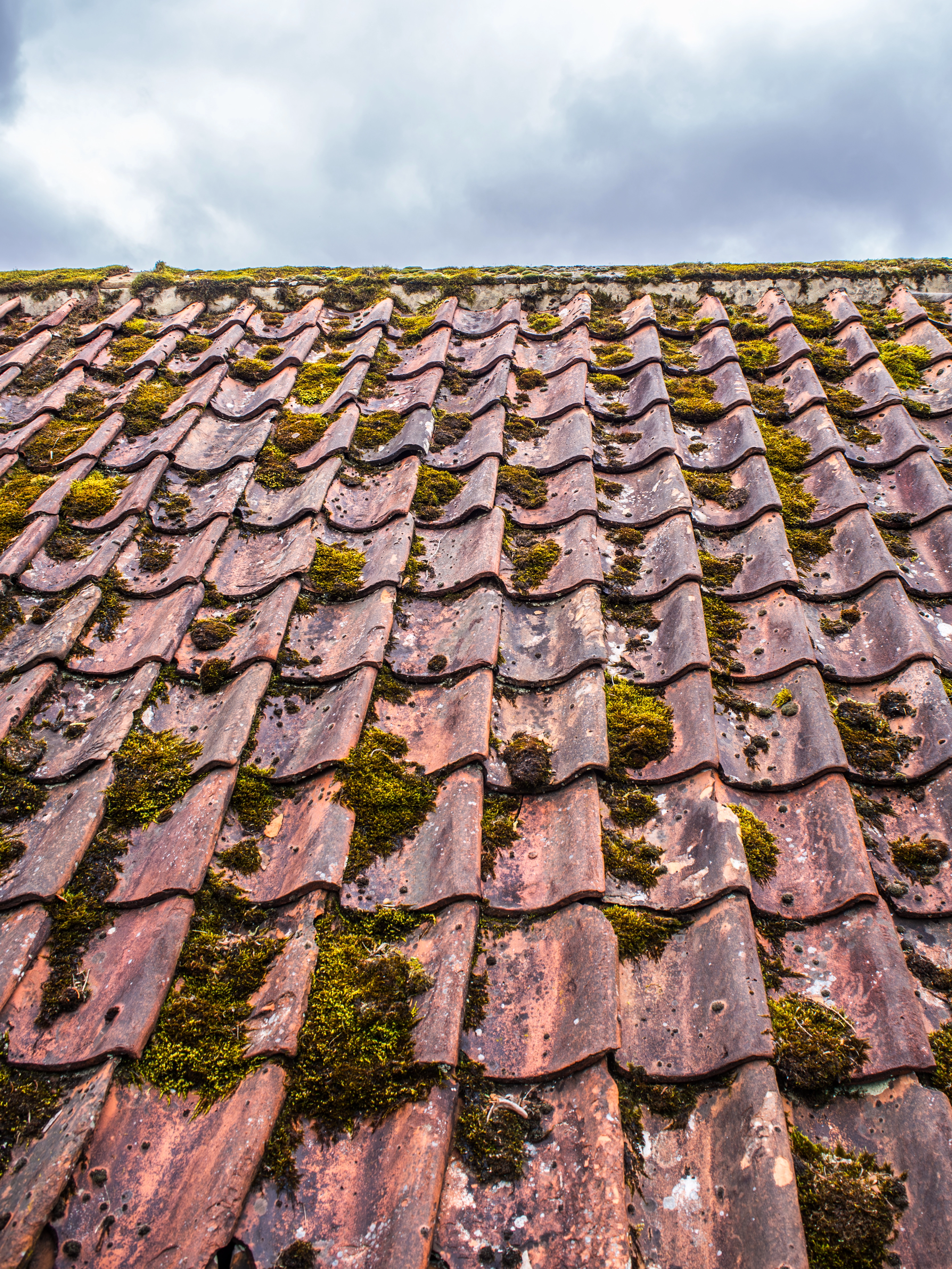 Roof Repairs Image