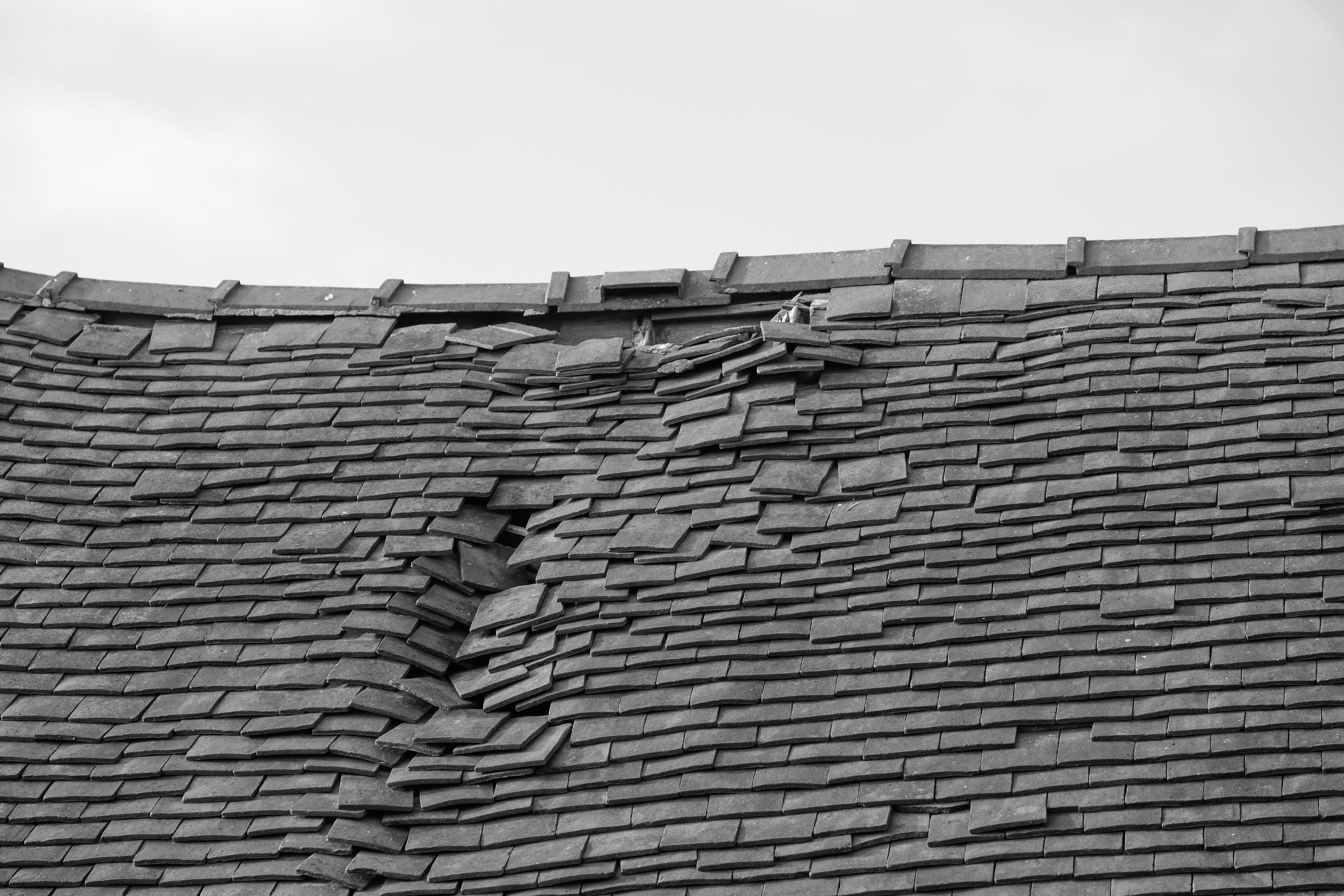 Roof Repairs Image
